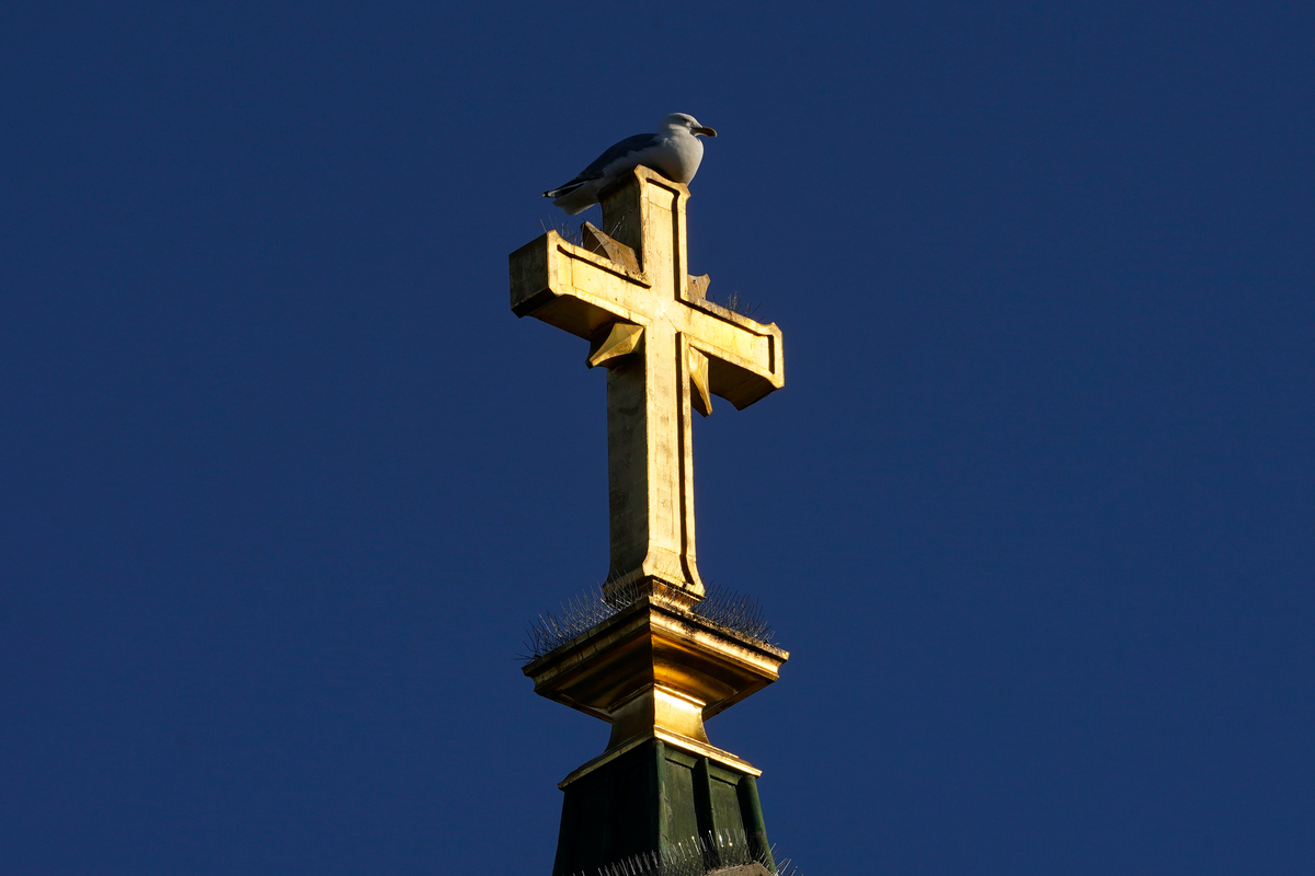 Charitable immunity provides groups that solicit donations from the public, including churches, some immunity in negligence lawsuits.
