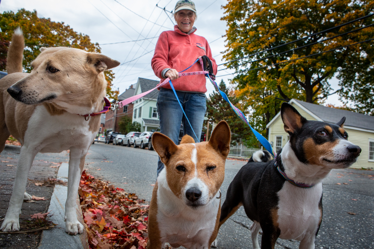 How to help prevent your pets from getting heat stroke this summer