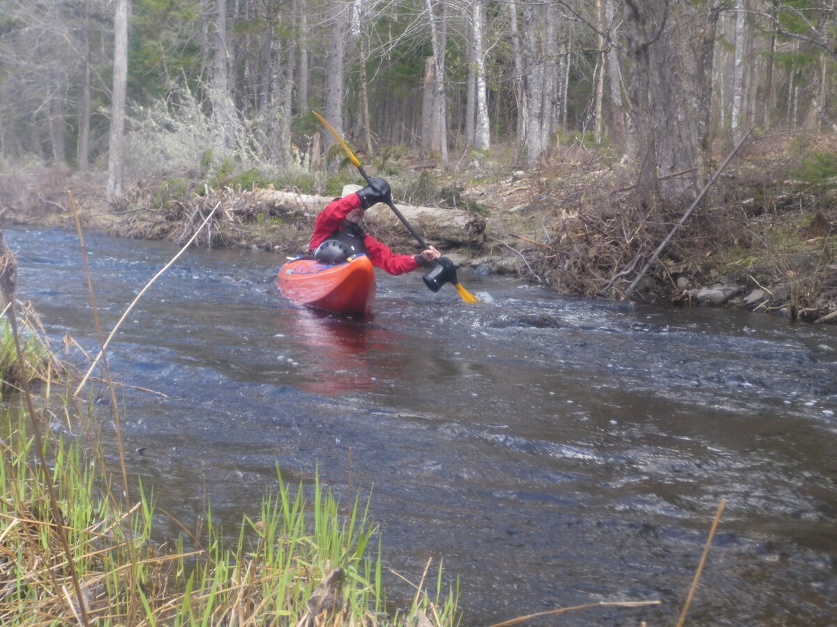 The river was almost three times higher than any of us had experienced, and the Class III Whetstone Falls would be a challenge.