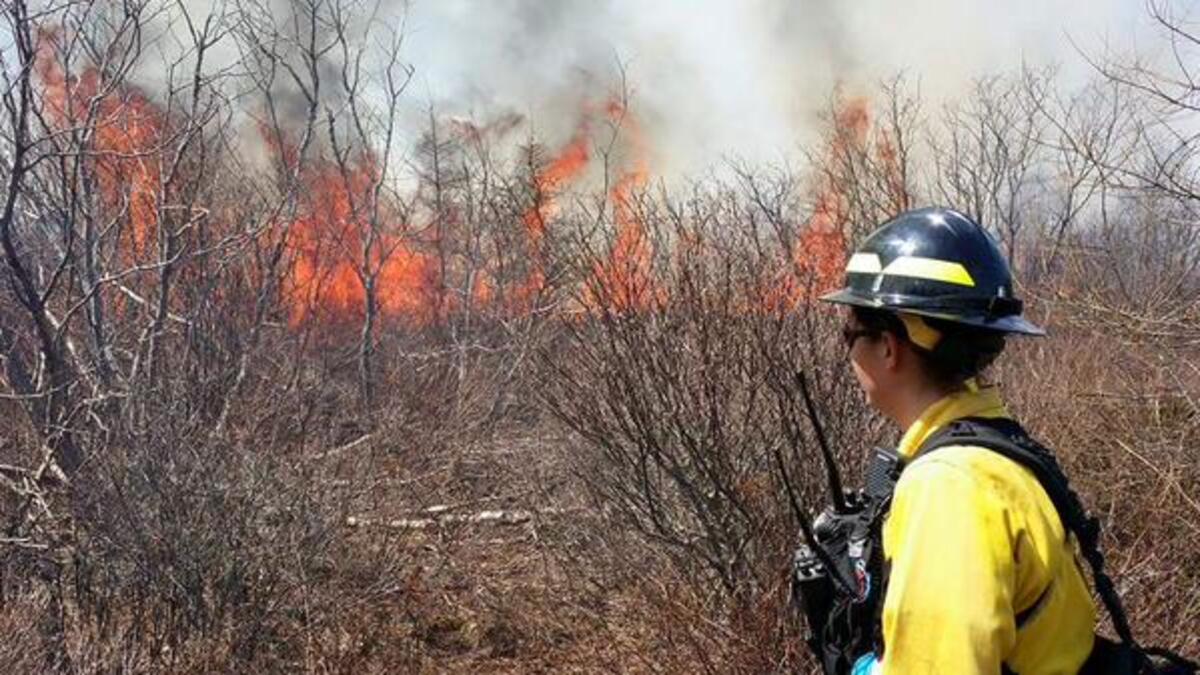 Mainers battled widespread forest fires in 1825, 1908 and 1947, but Maine can look to Nova Scotia to see the risk it now faces.