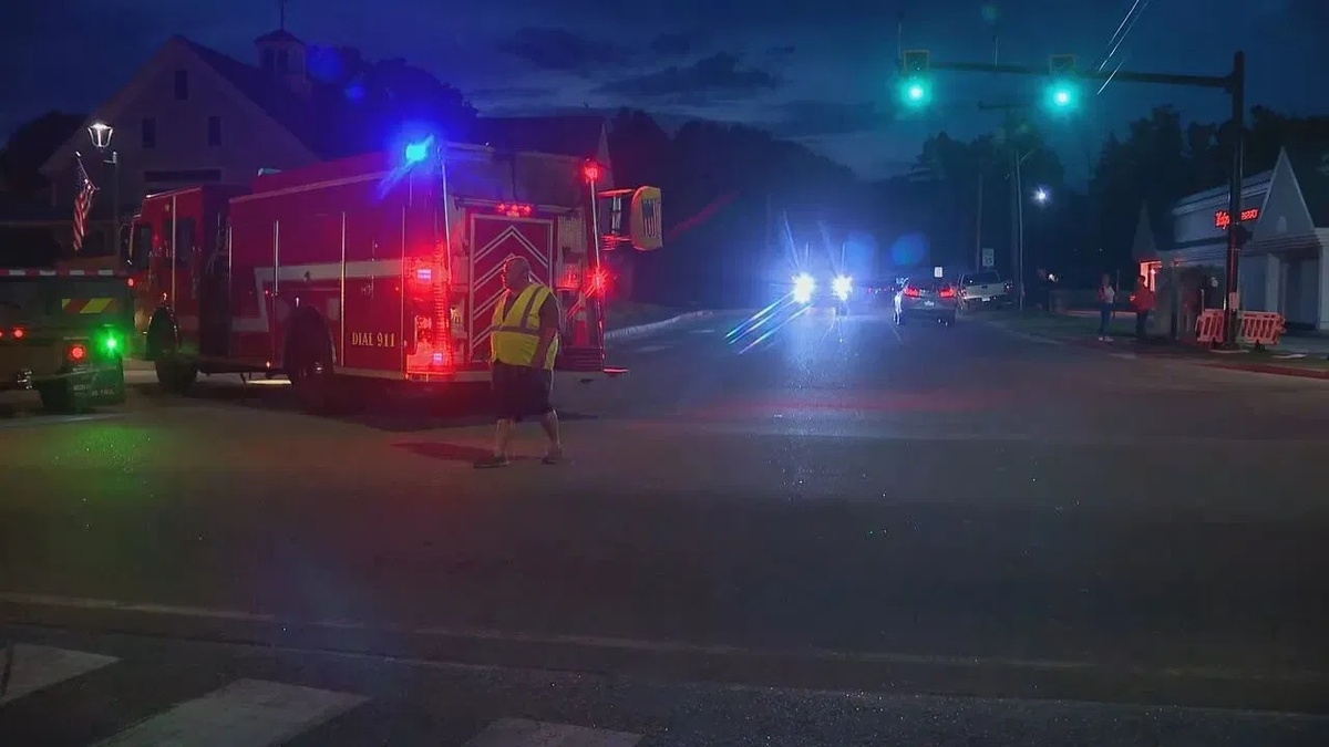 Police warned the public not to approach 18-year-old Alexander Goodwin if spotted.