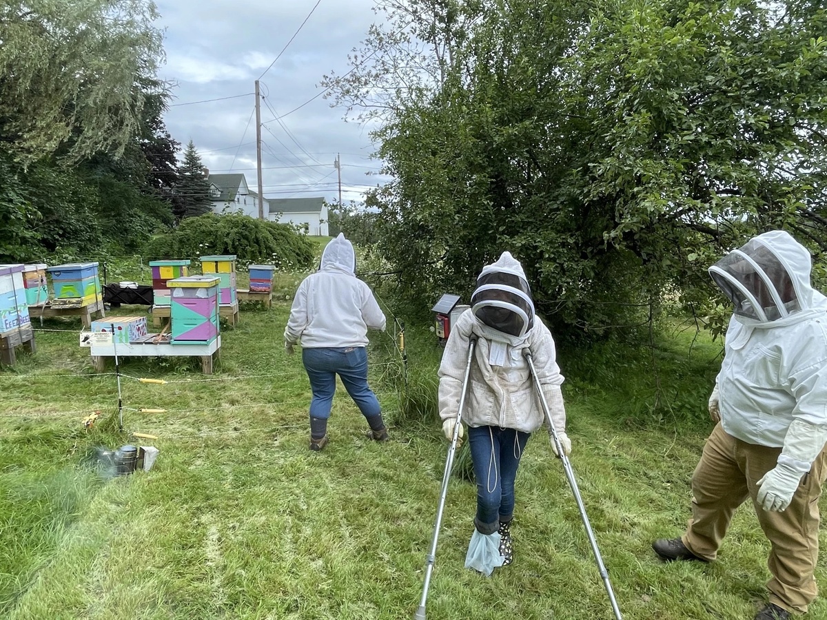 At age 11, Elizabeth Downs of Eddington is one of the youngest beekeepers in Maine.