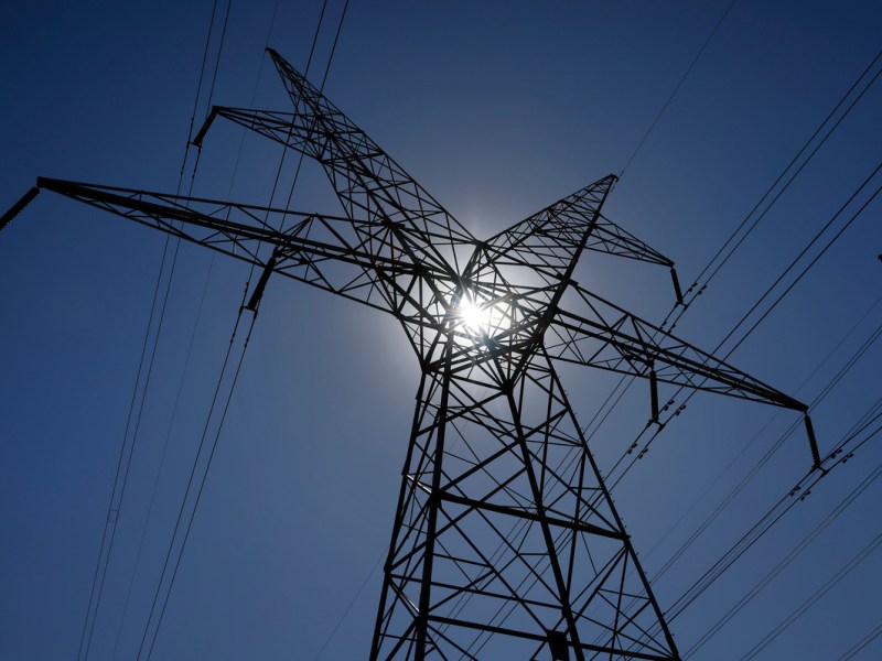 Animals, particularly squirrels, are a common cause of power outages, but fish aren't typically high on that list.