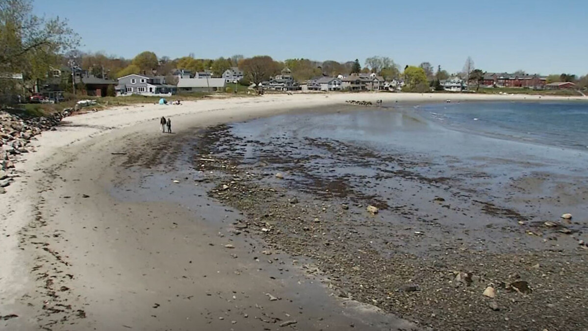 People have been advised to not enter the water at Willard Beach.