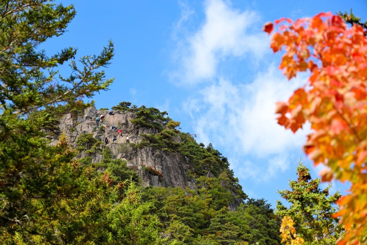 But the fall colors in some areas could be affected by trees that have already lost their foliage.