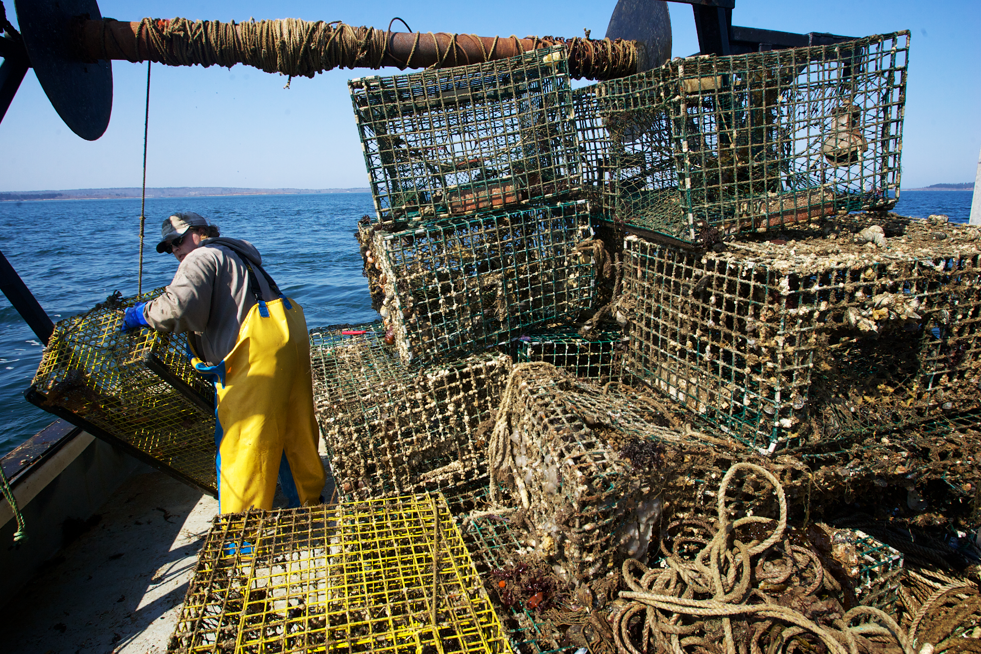 Lobster fishermen lose about 10 percent of their gear each year on average.