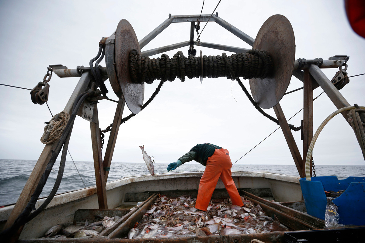 Fishermen had been facing a 70 percent cut, but instead have received a 30 percent increase in the haddock catch limit.