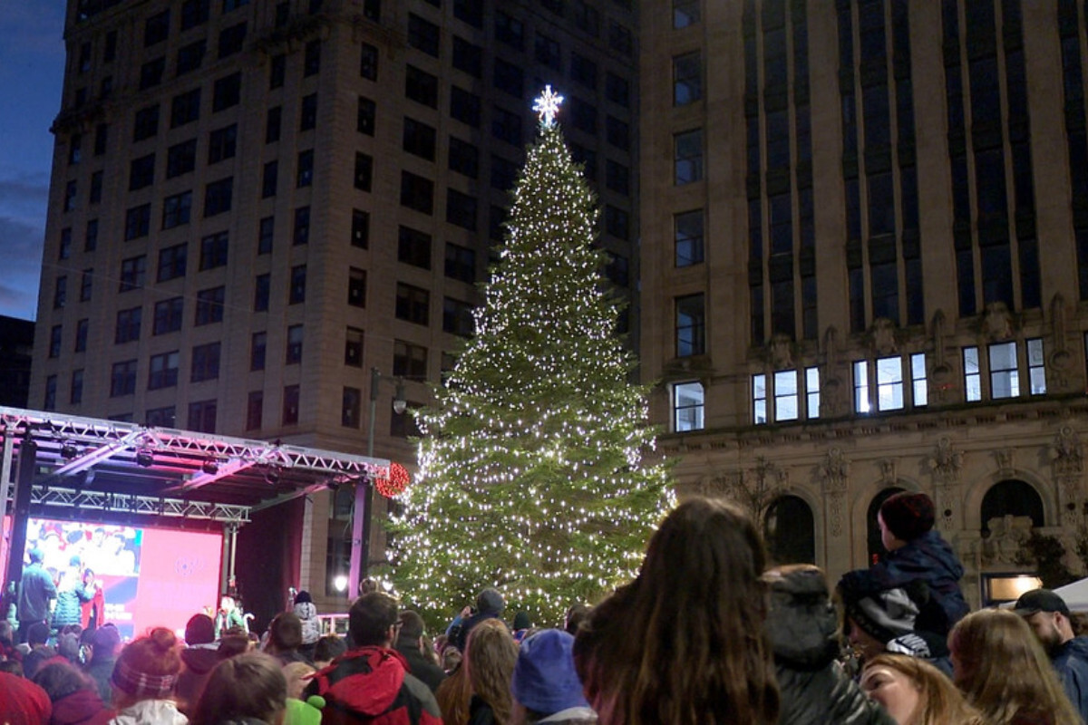 If you think you have the "perfect" holiday tree, the city of Portland wants to hear from you.