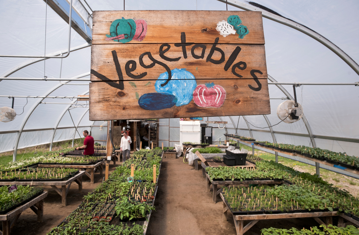 The U.S. Department of Agriculture has updated its maps for plant hardiness zones, showing new crops can now thrive in Maine gardens.