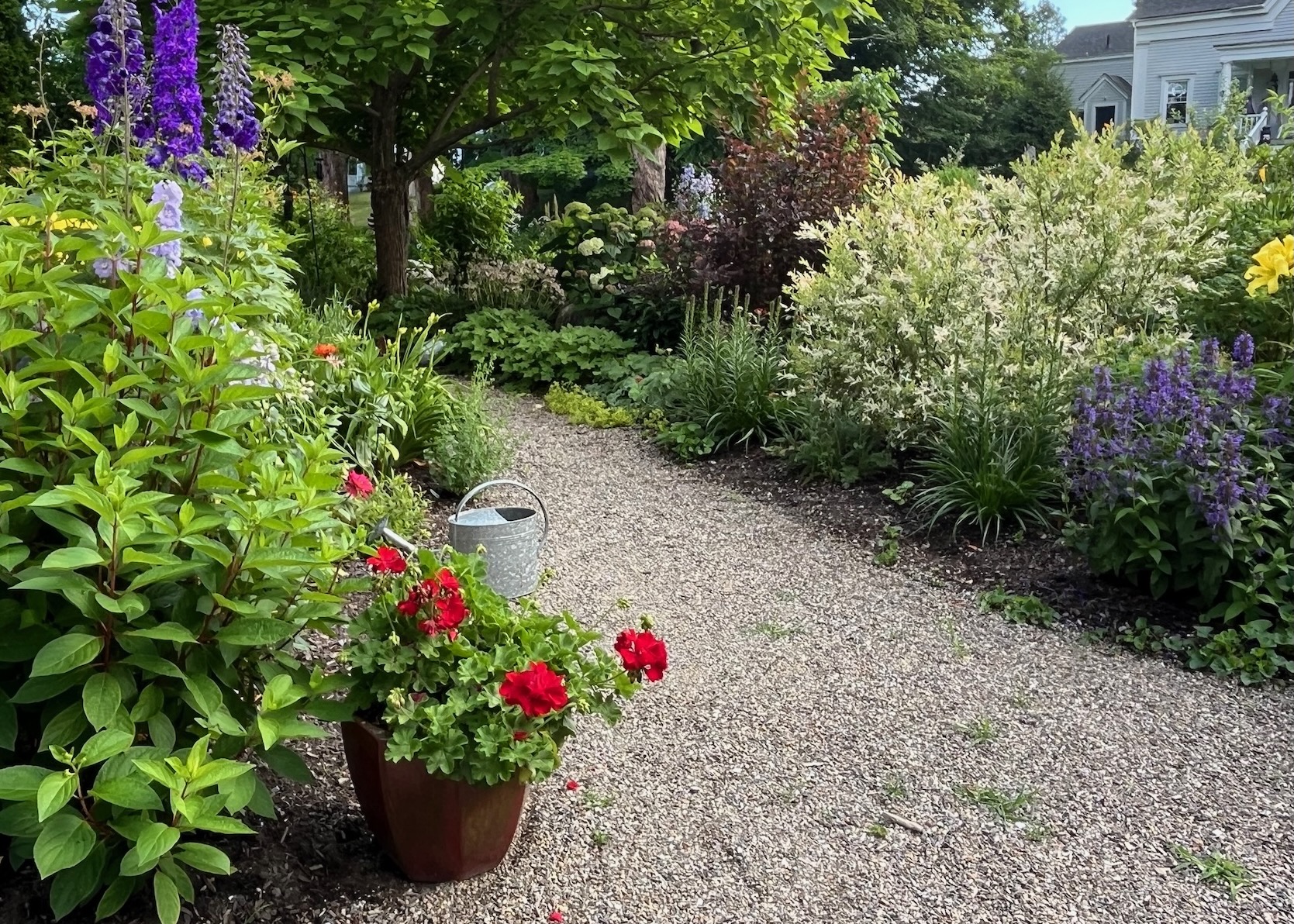 Open Garden Days at historic district garden provides opportunity to nurture life