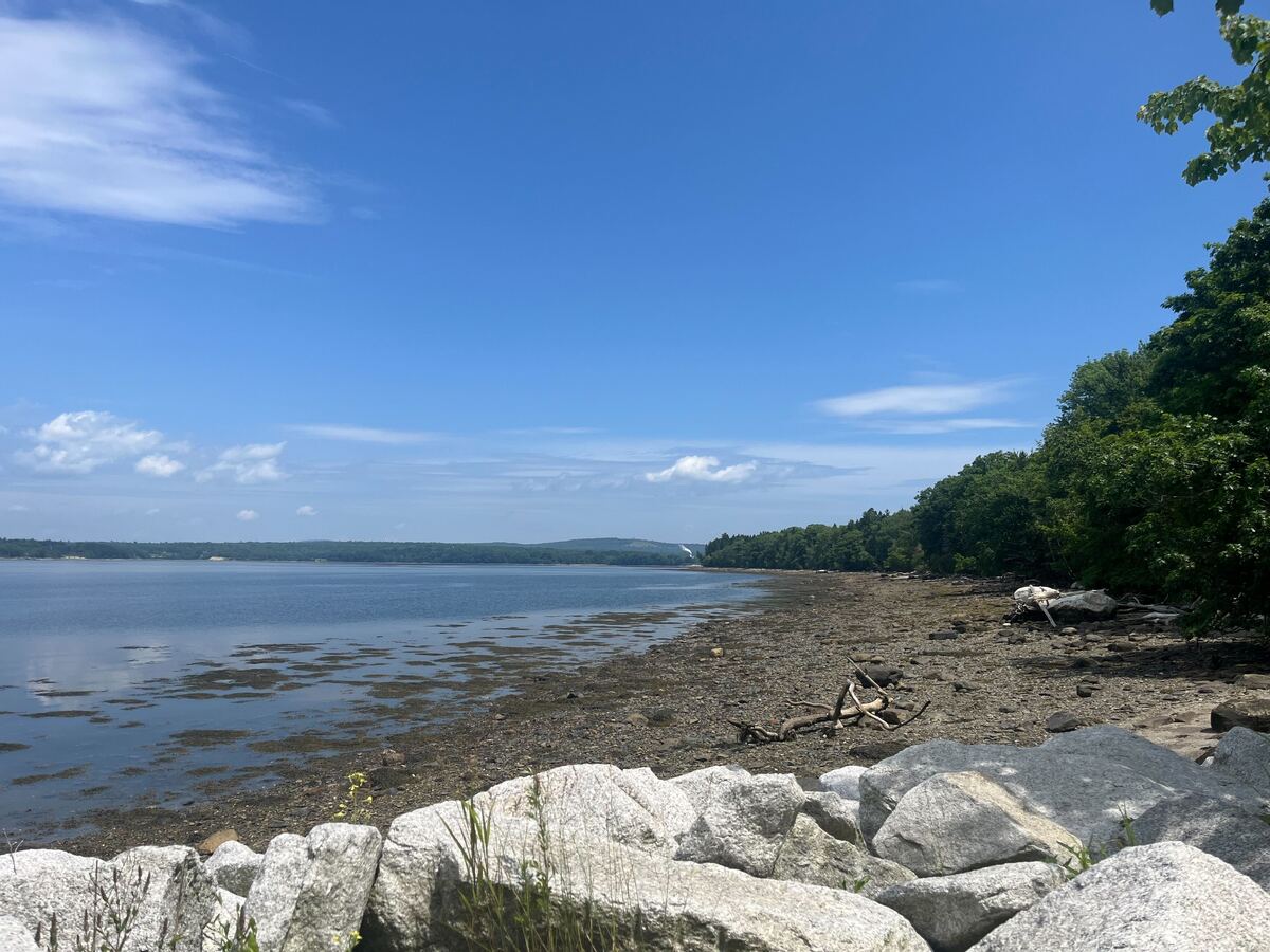 Letter: Concerns about a wind port on Sears Island