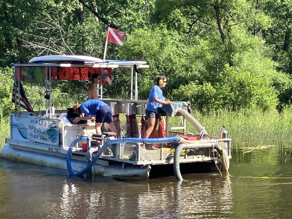 Maine’s warming lakes incubate damaging invasive plants