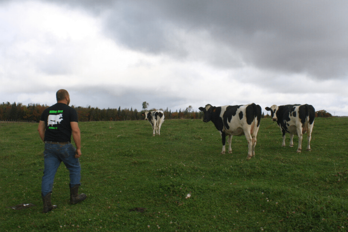 Aroostook farm couple plan to fill void left by Houlton dairy’s closure