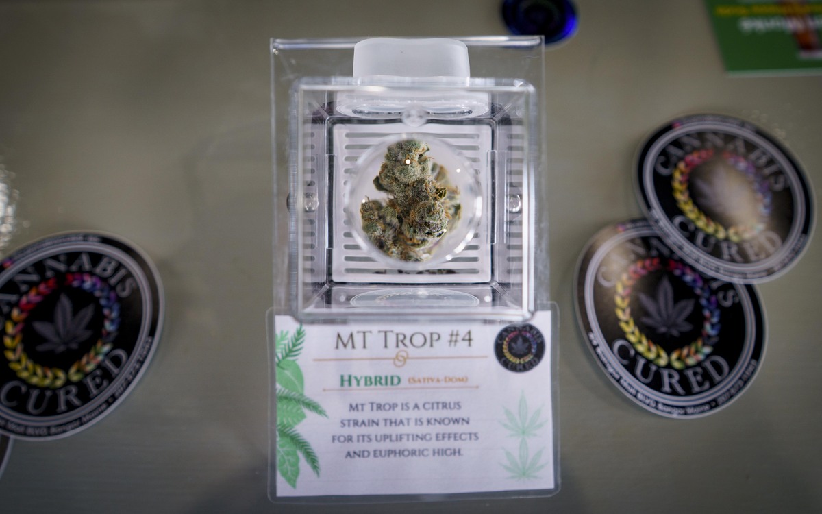 Letter: Concerned by reports about marijuana recall