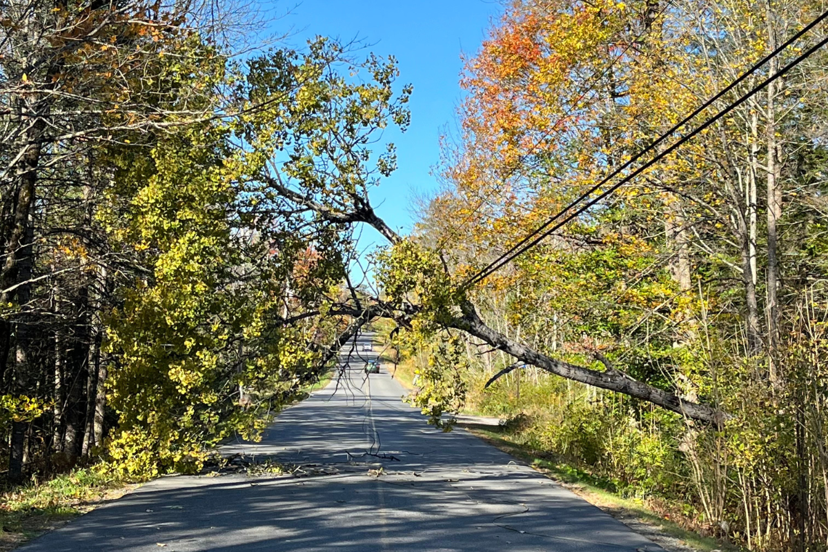 High winds cause thousands of outages Saturday morning