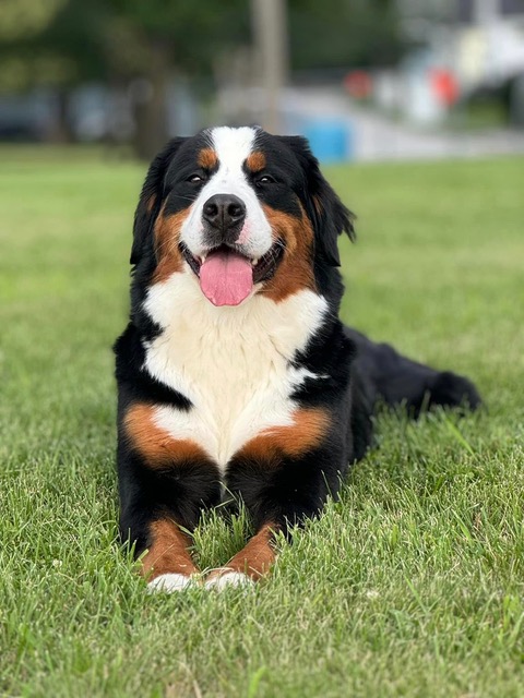 An interview with Jodi Brasslett, co-founder of The Marino Project