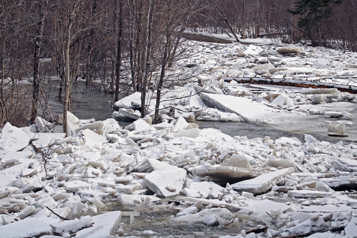 Ice is moving in Aroostook County rivers after earlier flooding
