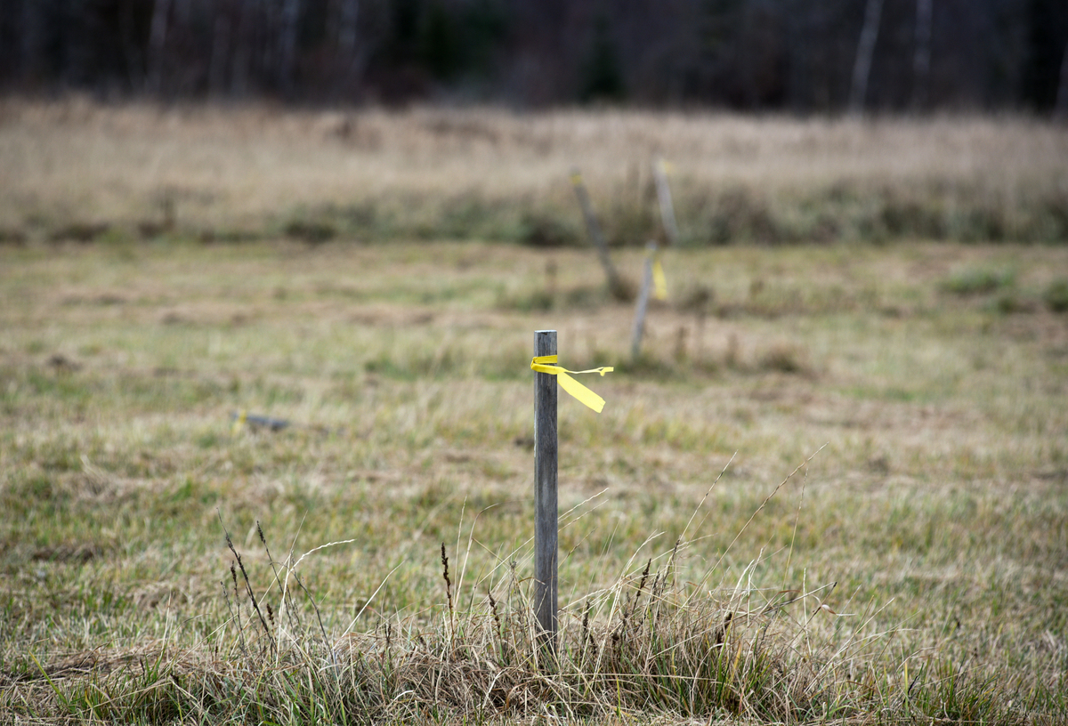 Maine lawmakers vote to require landlords to test private wells for PFAS
