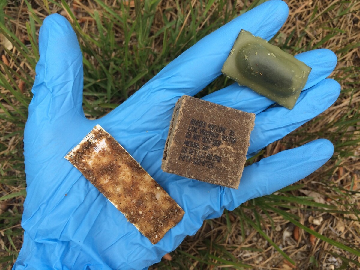 It will be raining rabies vaccines over Aroostook County this week