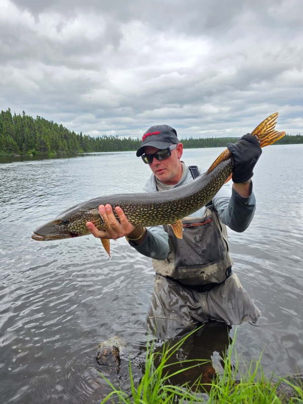 A Mainer's quest for Labrador's brook trout