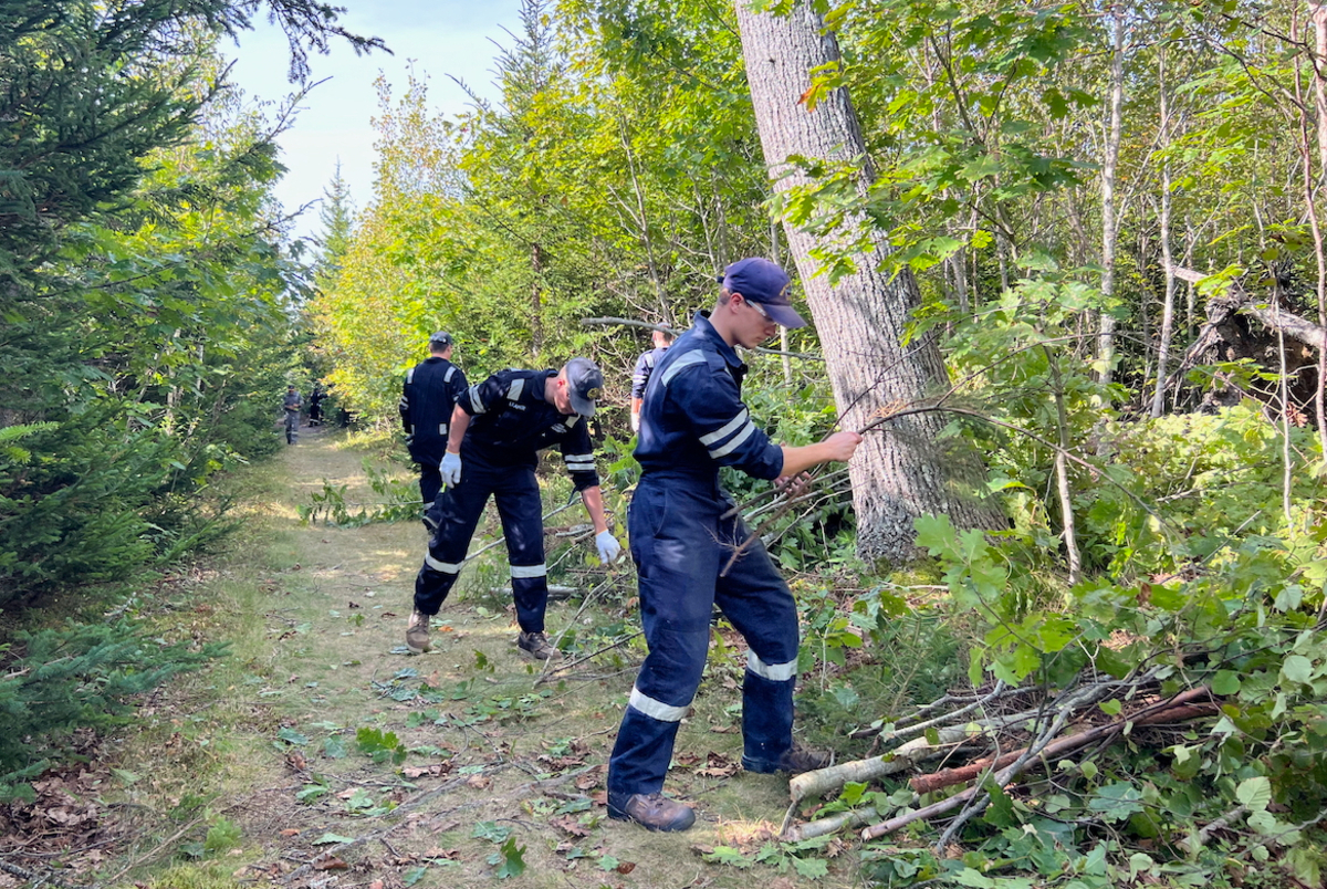 Castine clears out woods near its village to avoid another wildfire