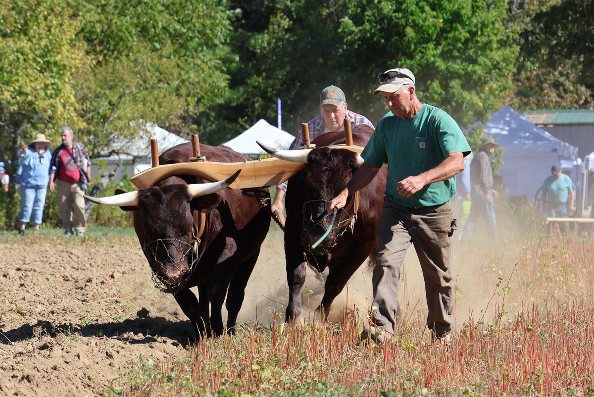 An evolving Common Ground fair kicks off its 48th year