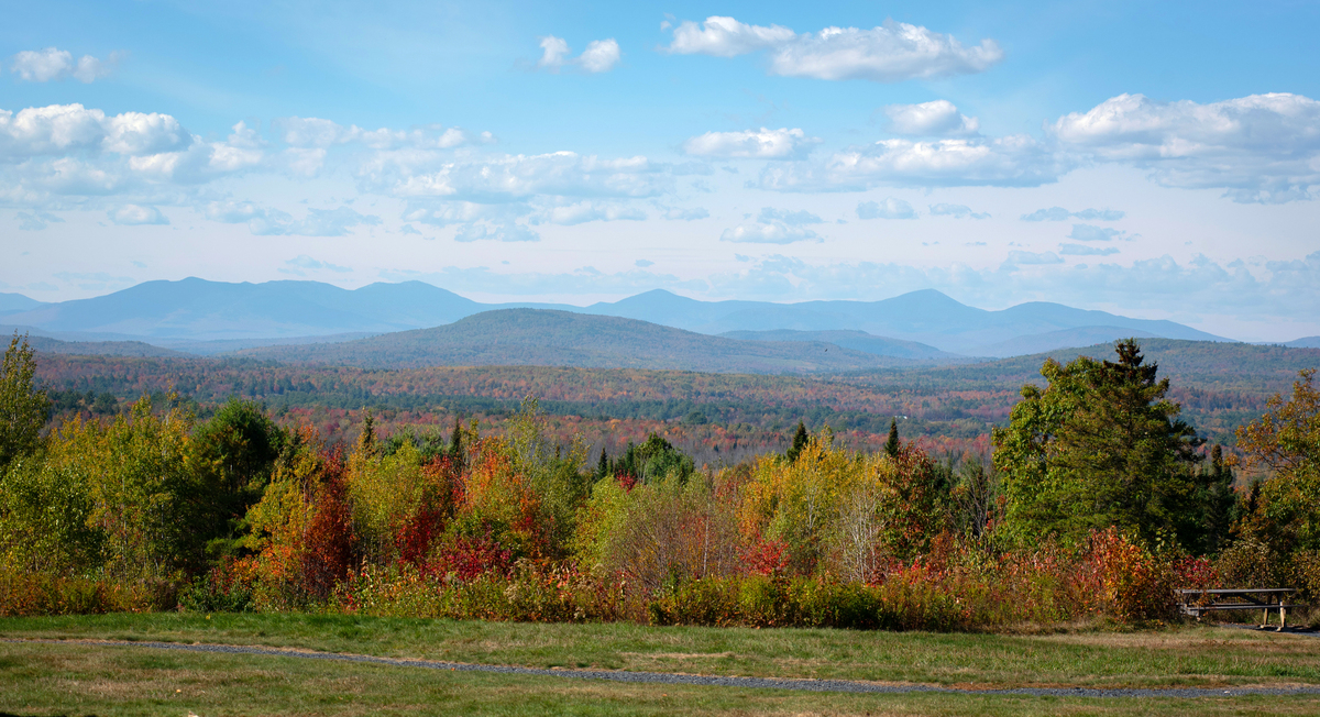 Foliage is peaking in Maine ahead of holiday weekend