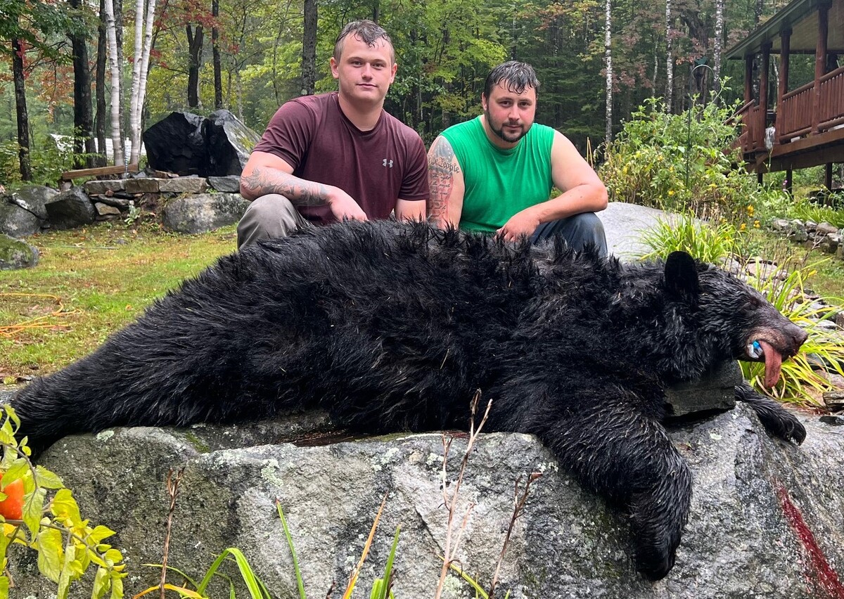 Maine hunter sets new state record with female black bear