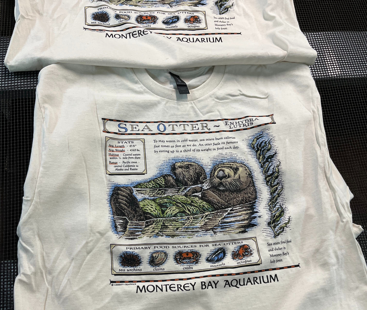 Taylor Swift wore a vintage T-Shirt from a famous Maine company