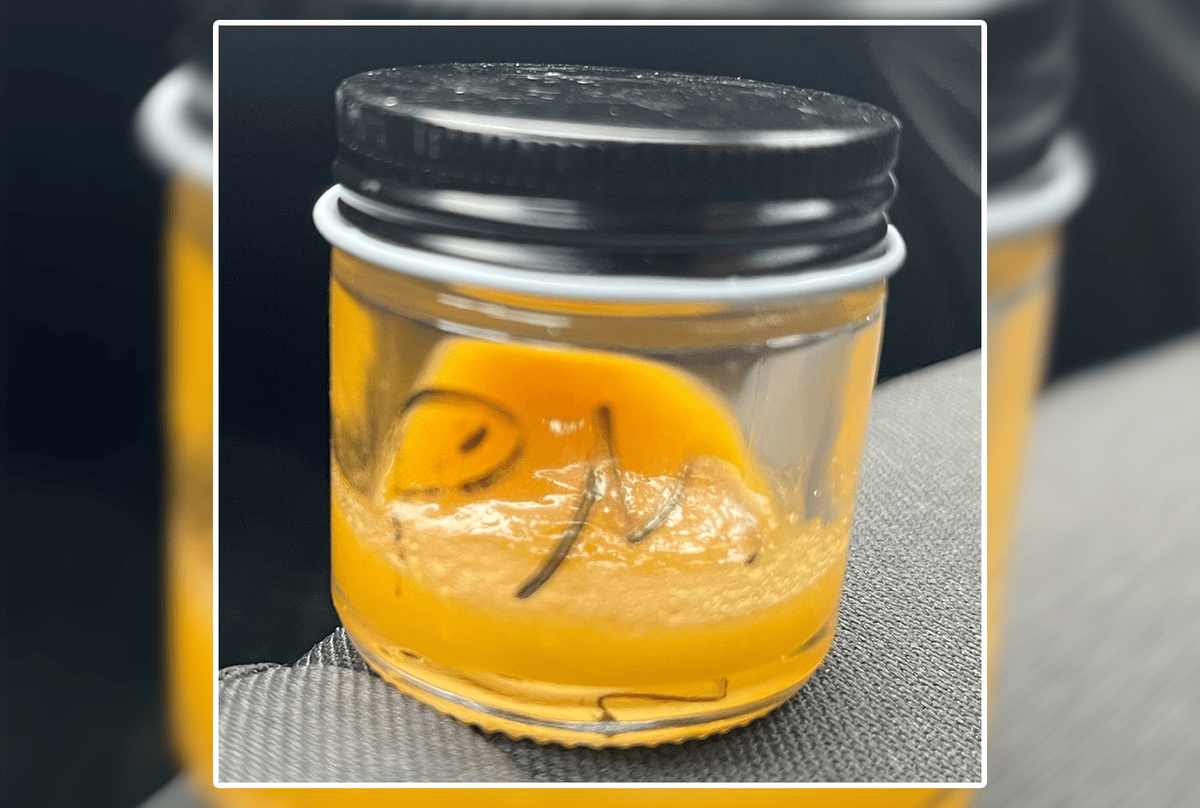 bangordailynews.com - Sabrina Martin - Ellsworth denies license for medical cannabis chain with contaminated products