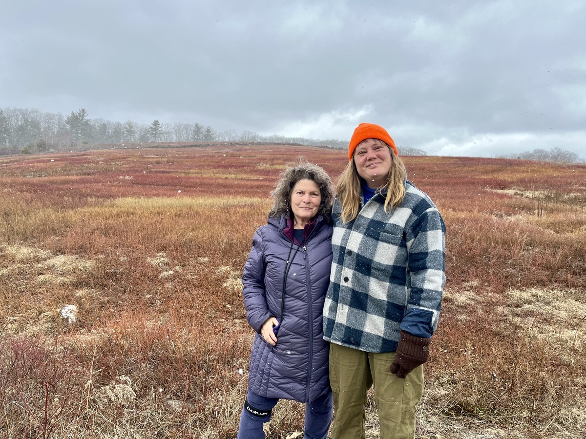 Midcoast RV resort proposal at odds with a piece of Maine’s blueberry landscape