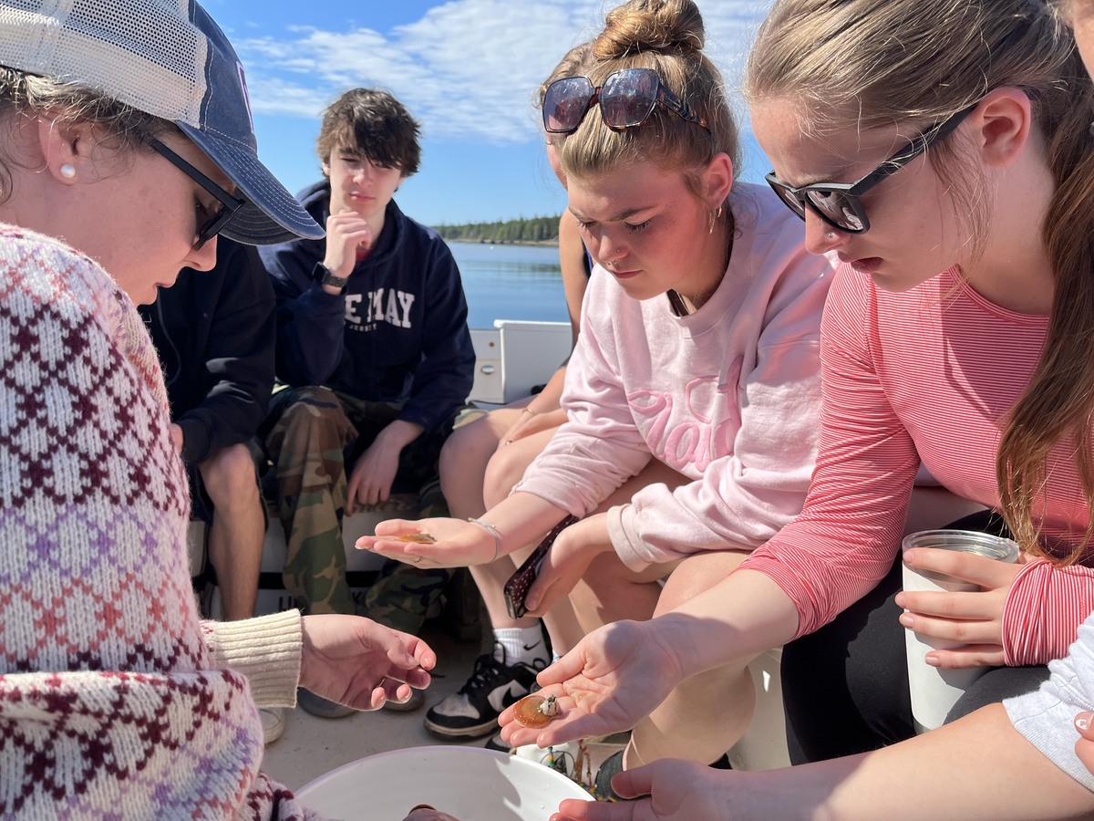 bangordailynews.com - Bridget Huber - Students on a Maine island started a scallop farm