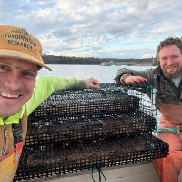 Business support programming at the Maine Aquaculture Innovation Center