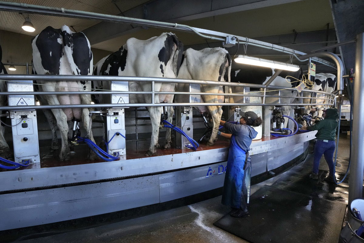 bangordailynews.com - Elizabeth Walztoni - Rumor of ICE crackdown on Maine farms highlights fears for legal workers