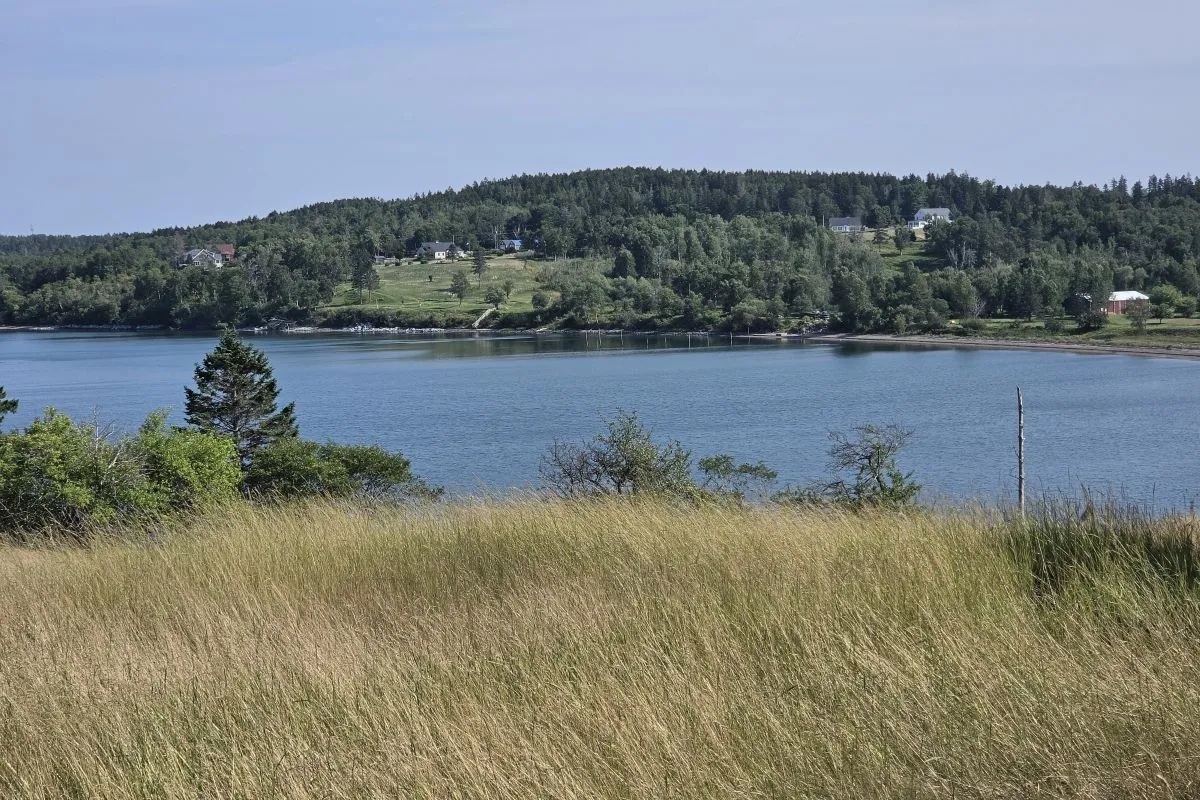 bangordailynews.com - Melissa Razdrih, The Maine Monitor - Federal regulators accept preliminary permit for underwater data center off Eastport