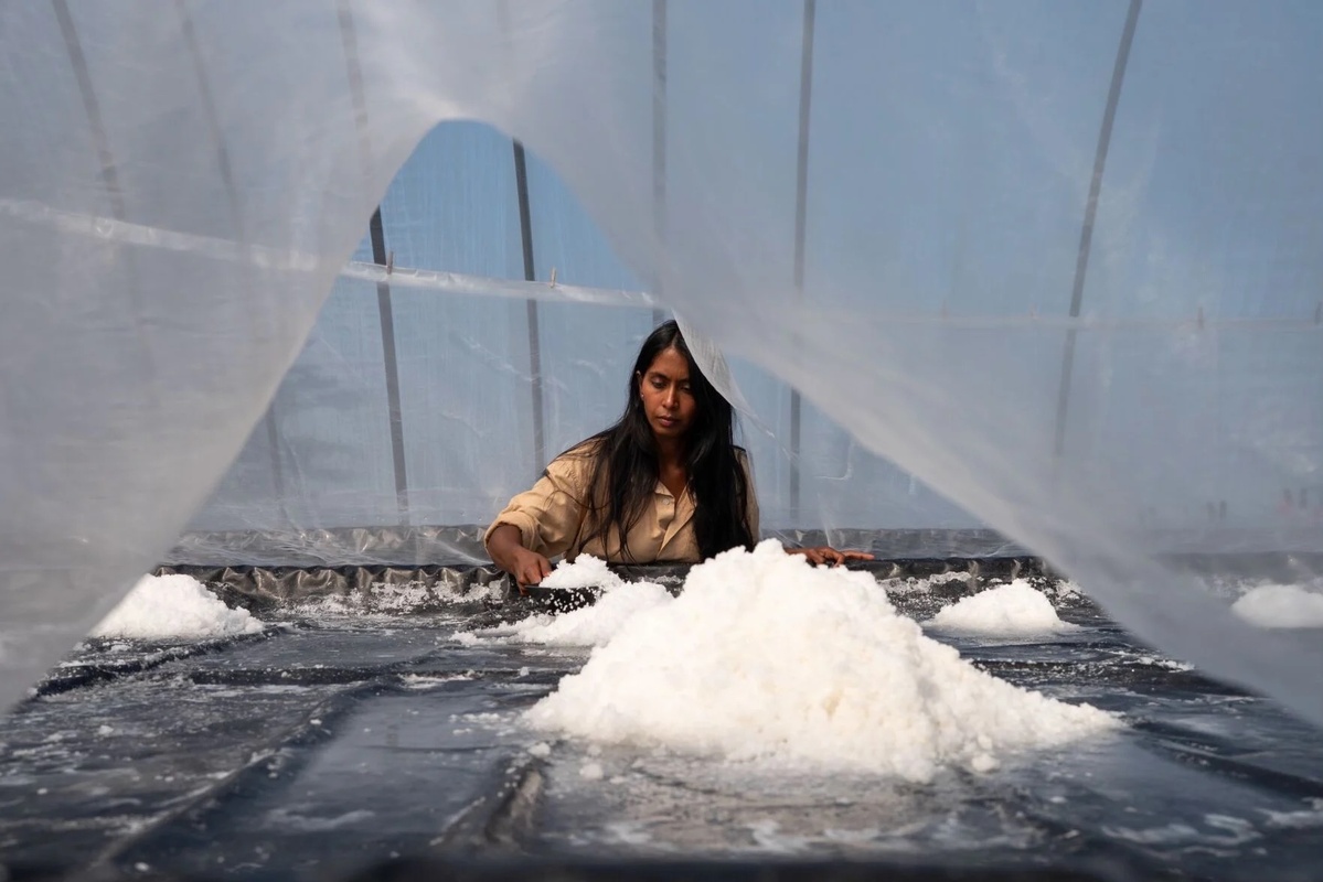 bangordailynews.com - Jillian Raucci Bedell, Midcoast Villager - She returned to a Maine island where she grew up to start a salt farm