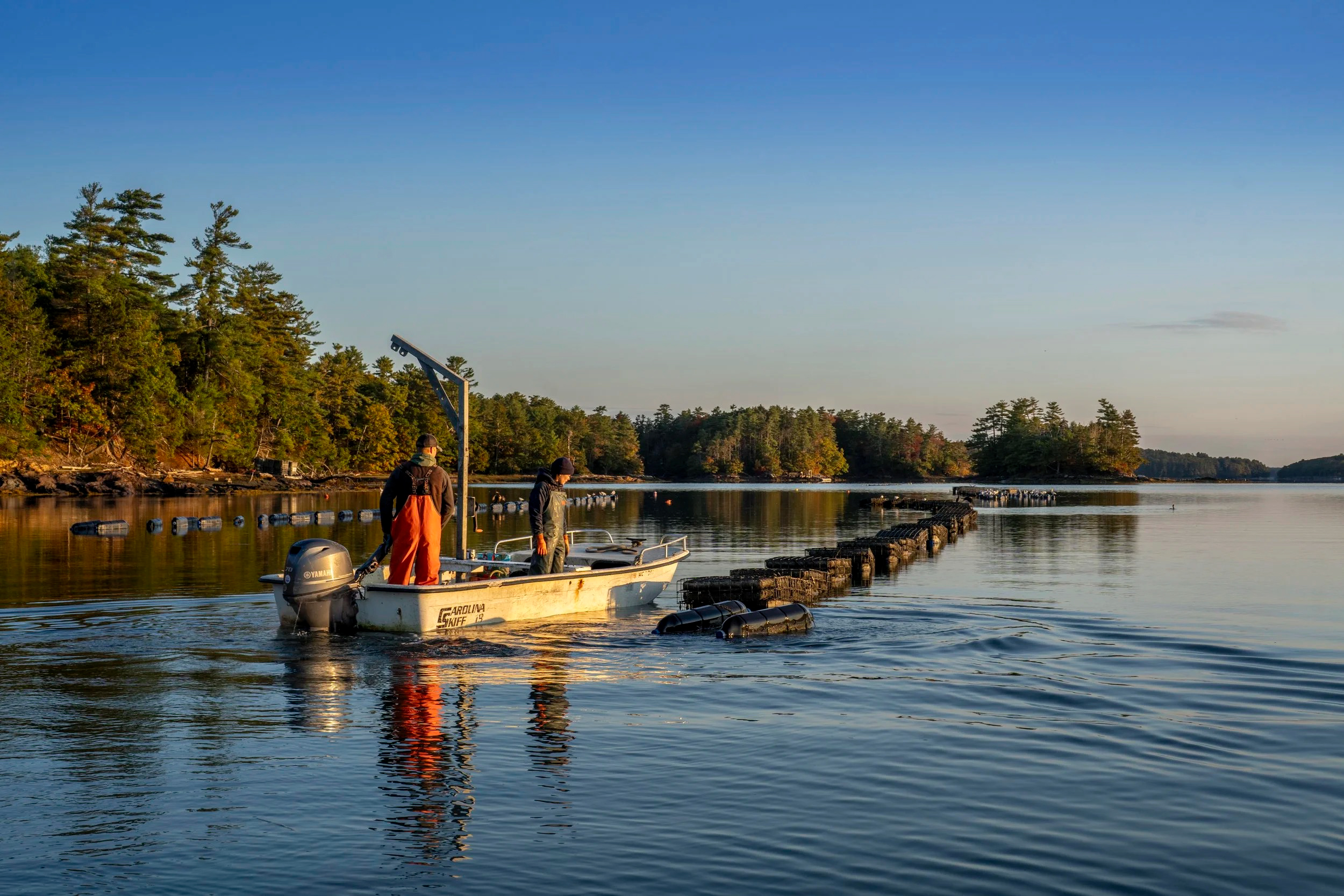 bangordailynews.com - Special Sections - Bombazine Oysters: Sustainability on the half shell