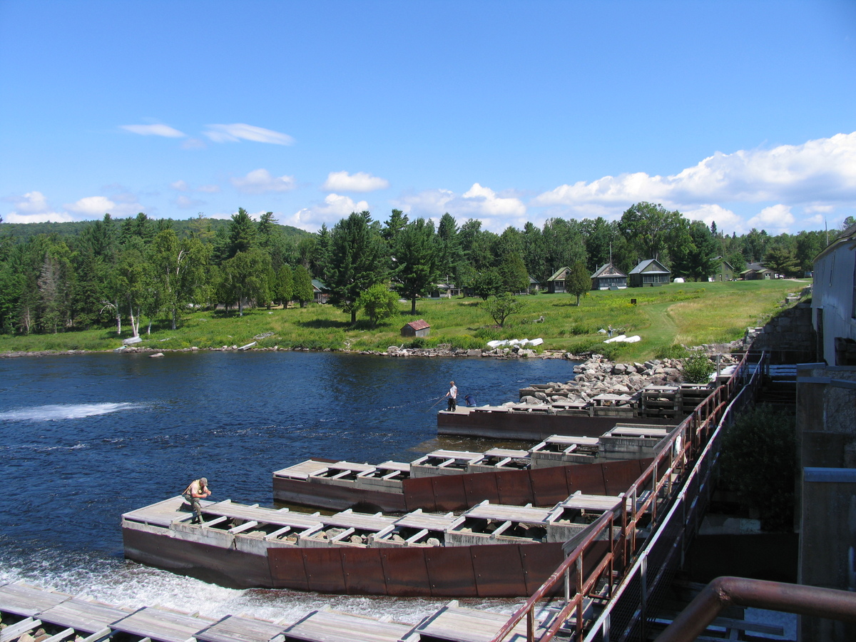 These signs mean Maine’s fall salmon run is getting started     