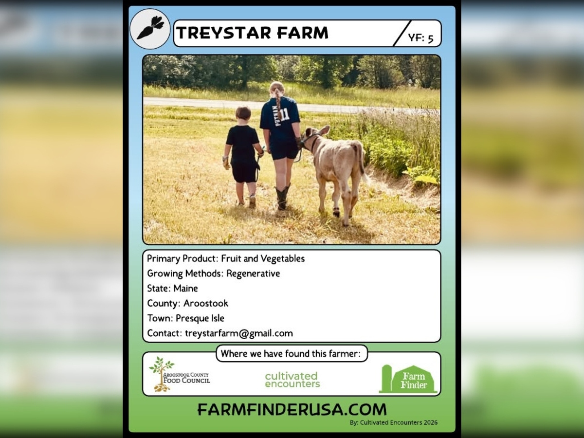 bangordailynews.com - Kathleen Phalen Tomaselli - Aroostook farm 'matchmaker' invents agriculture trading card game for schools
