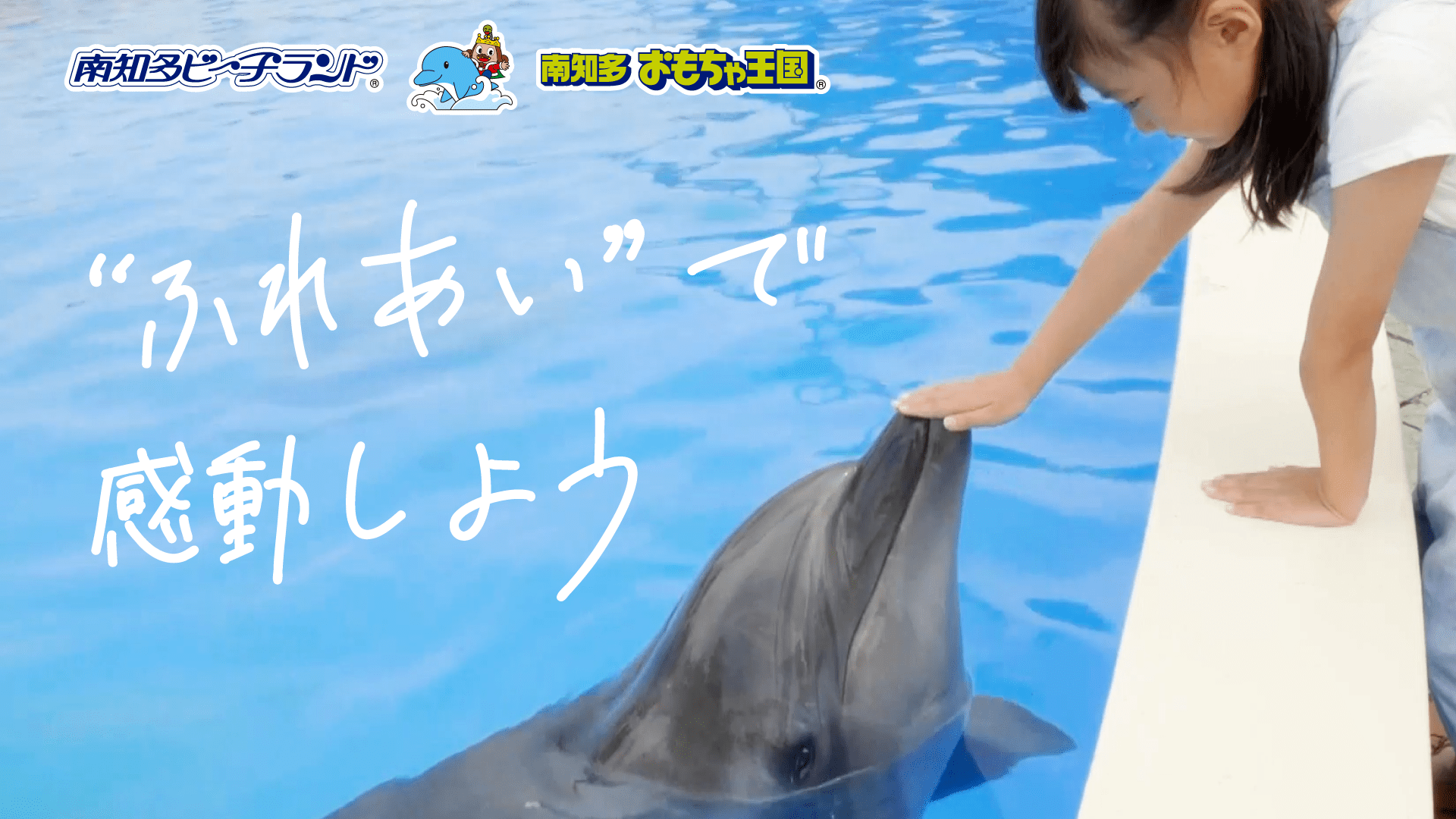 [b! 愛知] 体験型水族館とおもちゃ遊園地 南知多ビーチランド&南知多おもちゃ王国（愛知県知多半島）