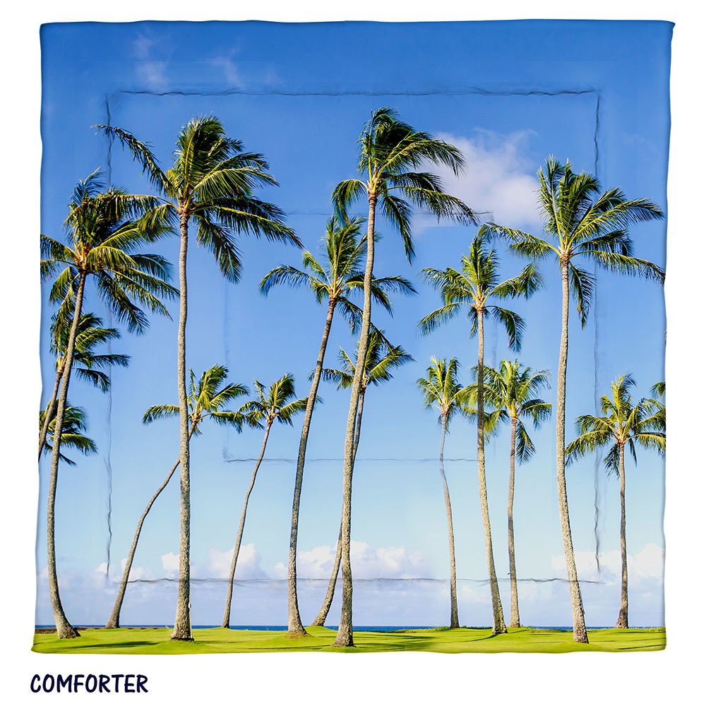 Hawaii Palm Tree Leaning Over Beach Polarized Sky Turquoise Ocean Pacificstock