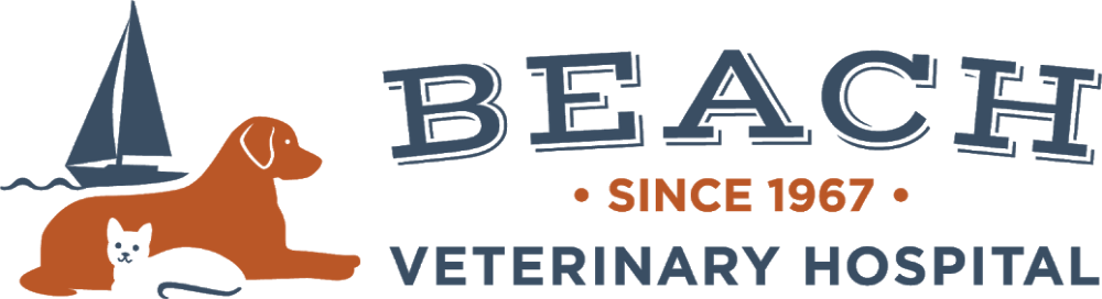 abkc puppies for sale