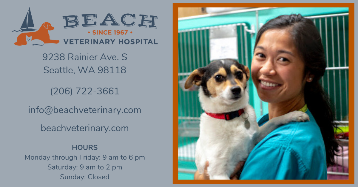 Pacific Beach Beach Vet Hospital Beach Veterinary 2025