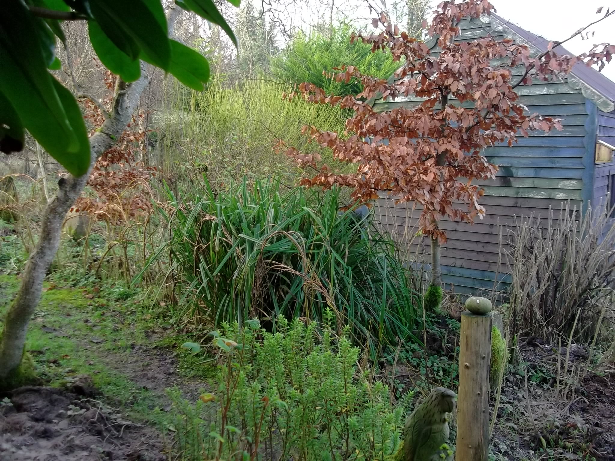 It Looks Like Spring! – Bealtaine Cottage, Ireland