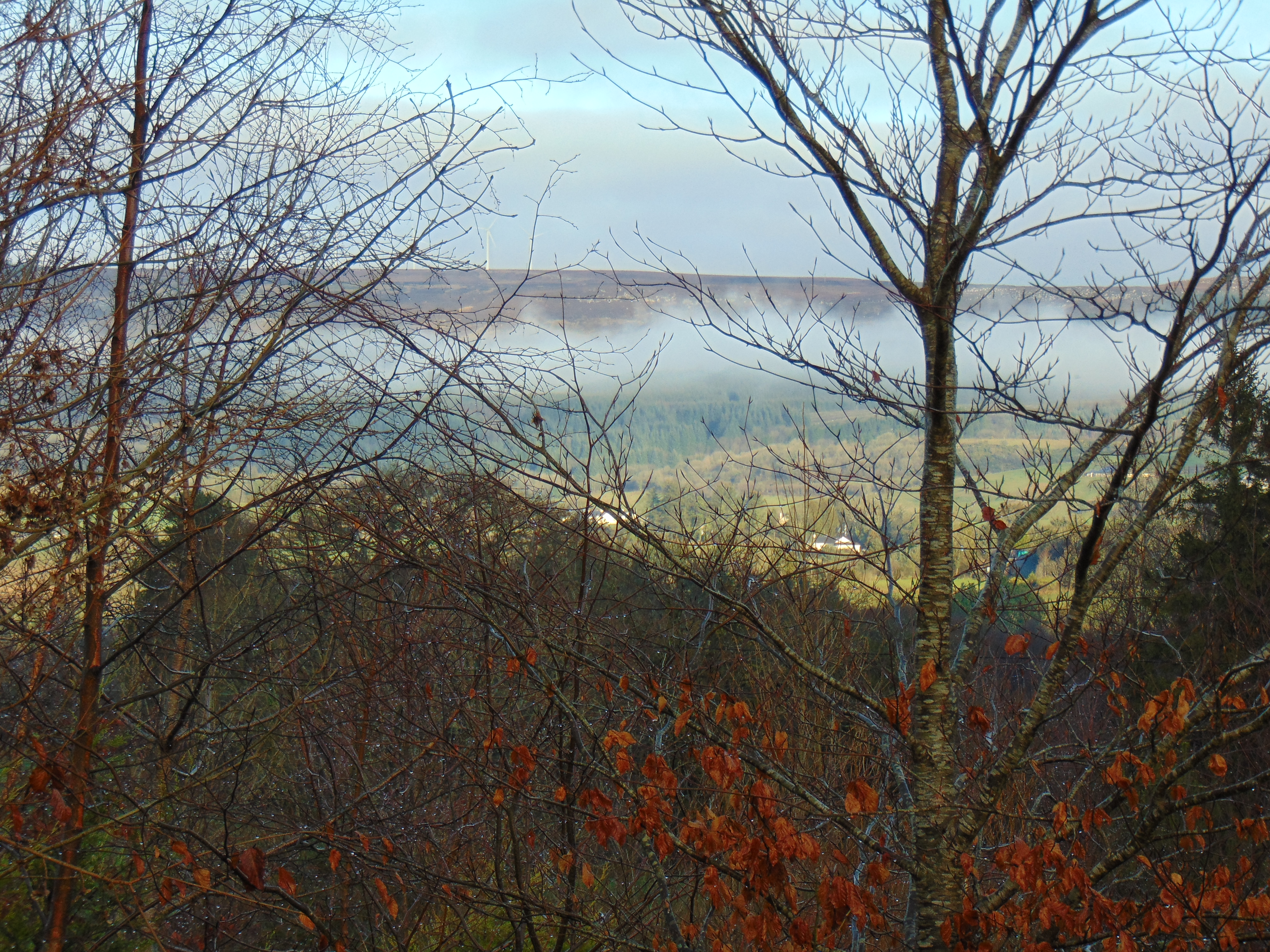 DSC00561