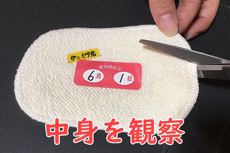 ダニピタ君の効果と口コミレビュー ダニ捕りロボと比較して違いを検証してみた 効果あり ダニ捕りロボの口コミと評判を徹底検証 中身を覗いたら驚愕した ダニピタ君の効果と口コミレビュー ダニ捕りロボと比較して違いを検証してみた 効果あり ダニ捕りロボの口コミと評判を徹底検証 中身を覗いたら驚愕した