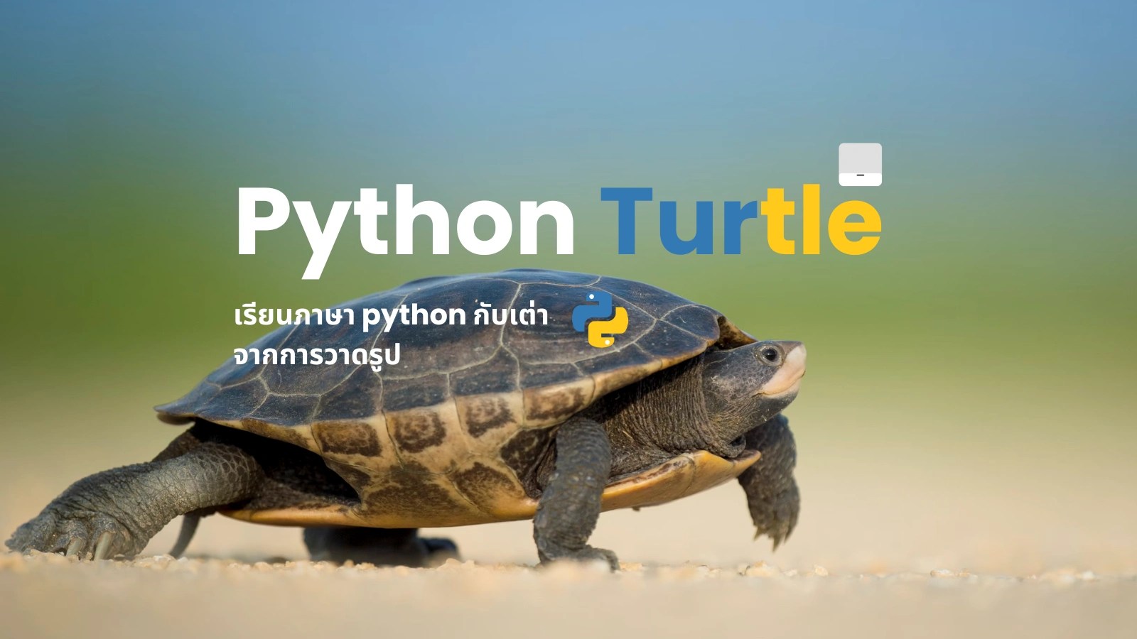 มือใหม่สนุกกับพื้นฐาน Python ด้วยการวาดรูปจาก Python Turtle