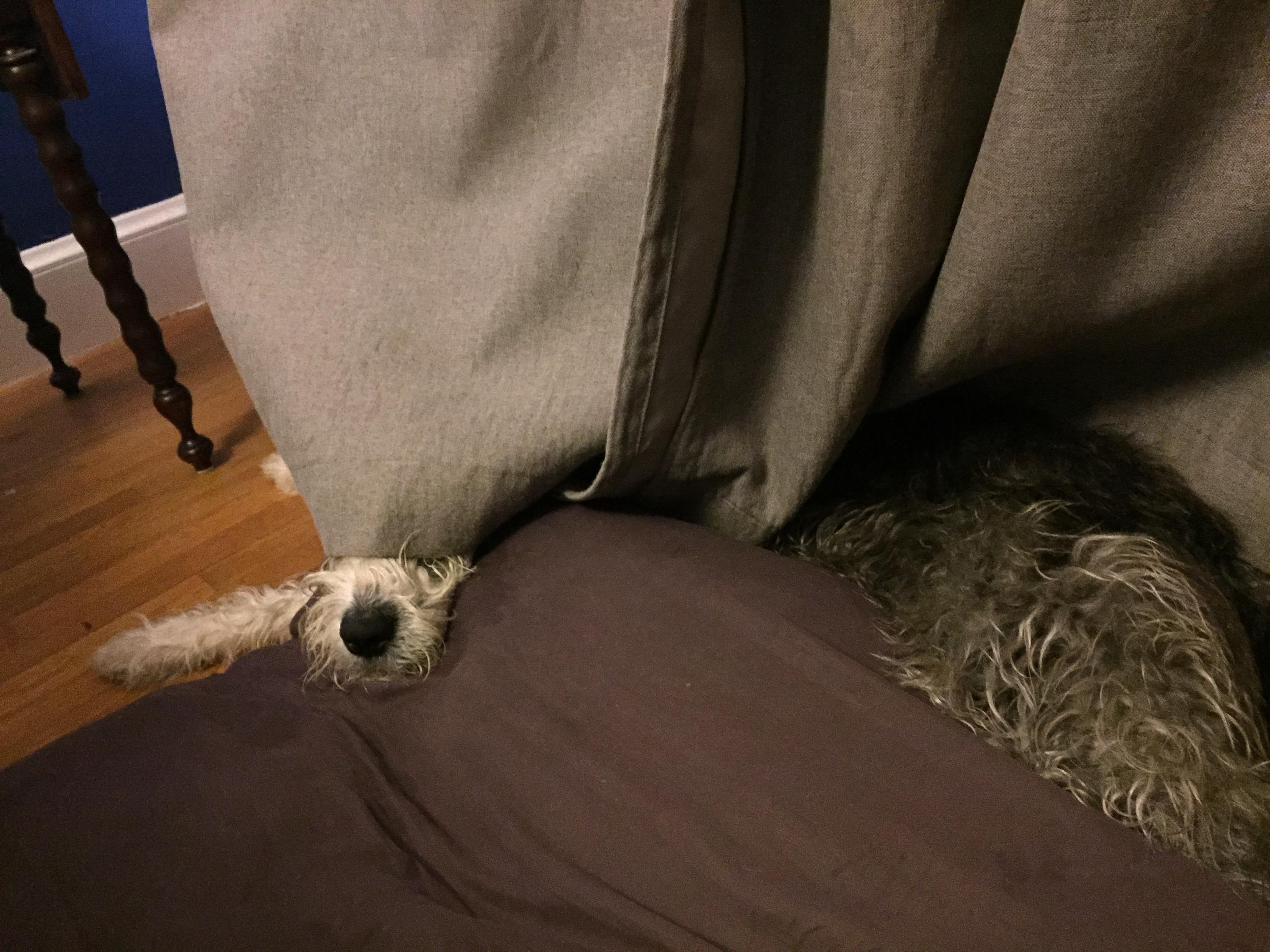 Getting comfy at bedtime