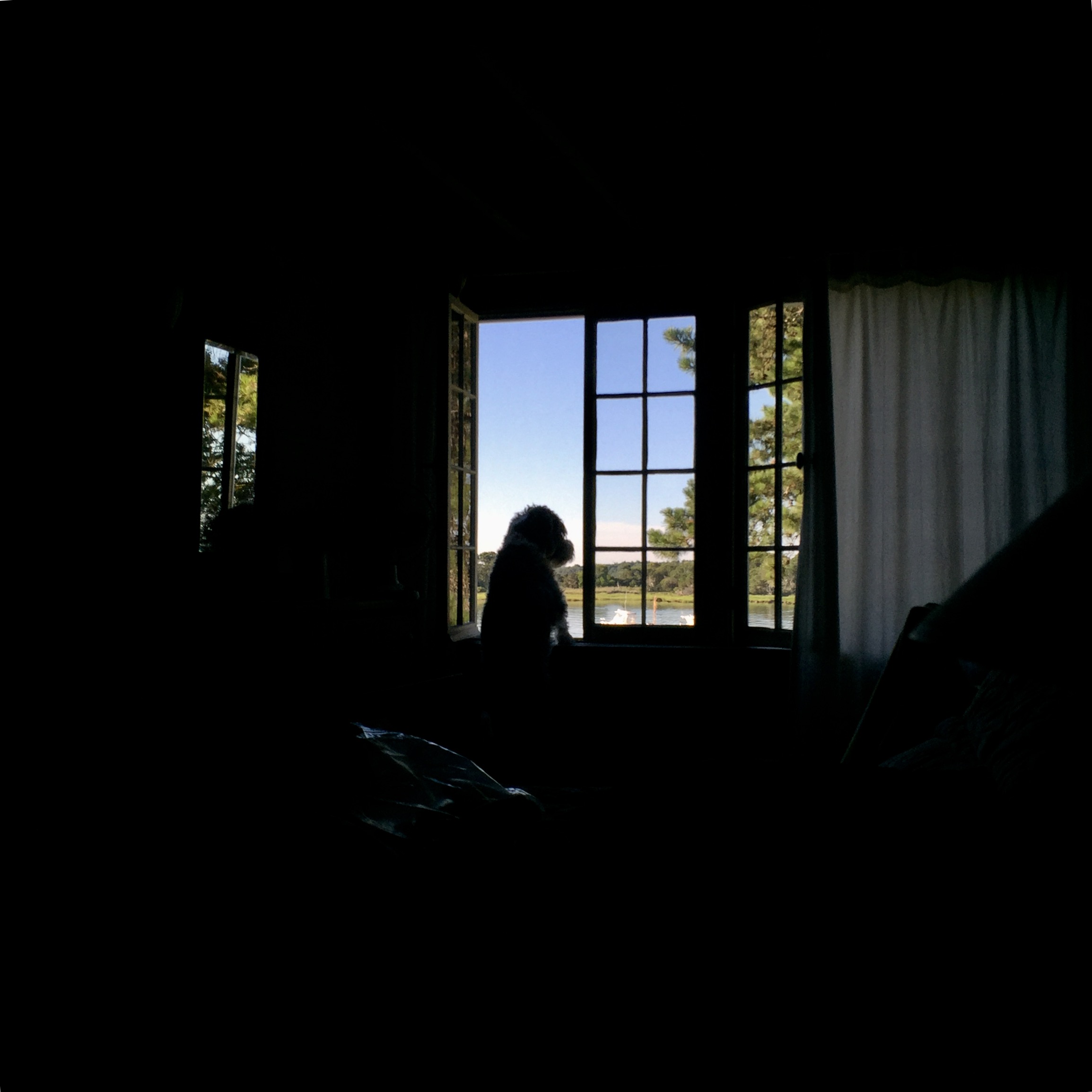 Checking out the view in the cape.