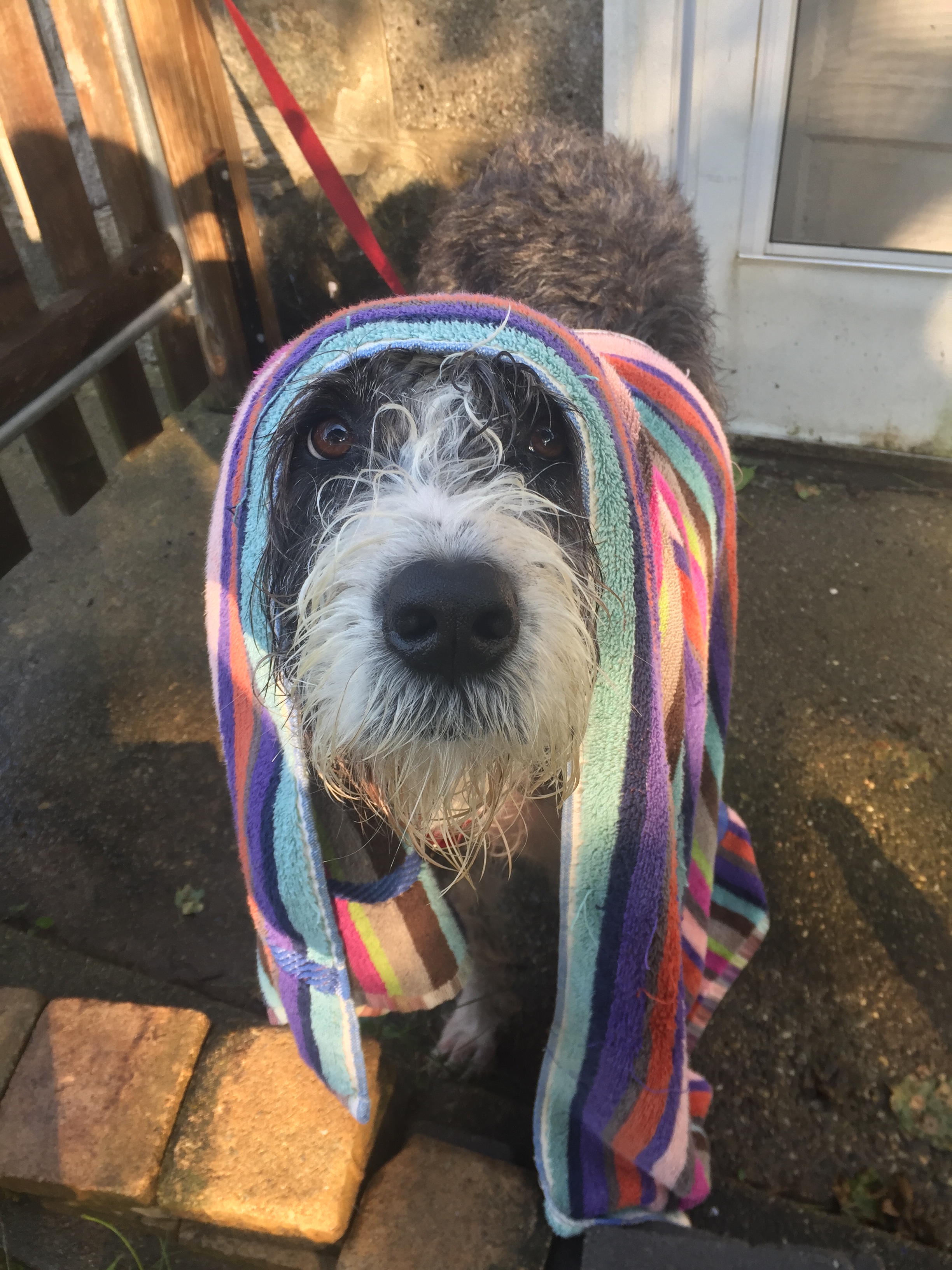 Post-bath portrait